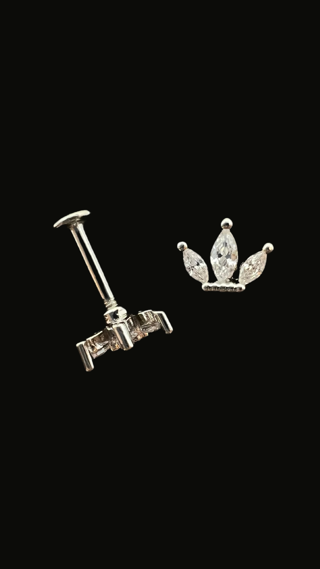 Stainless Steel Mini Crown Ear Piercing