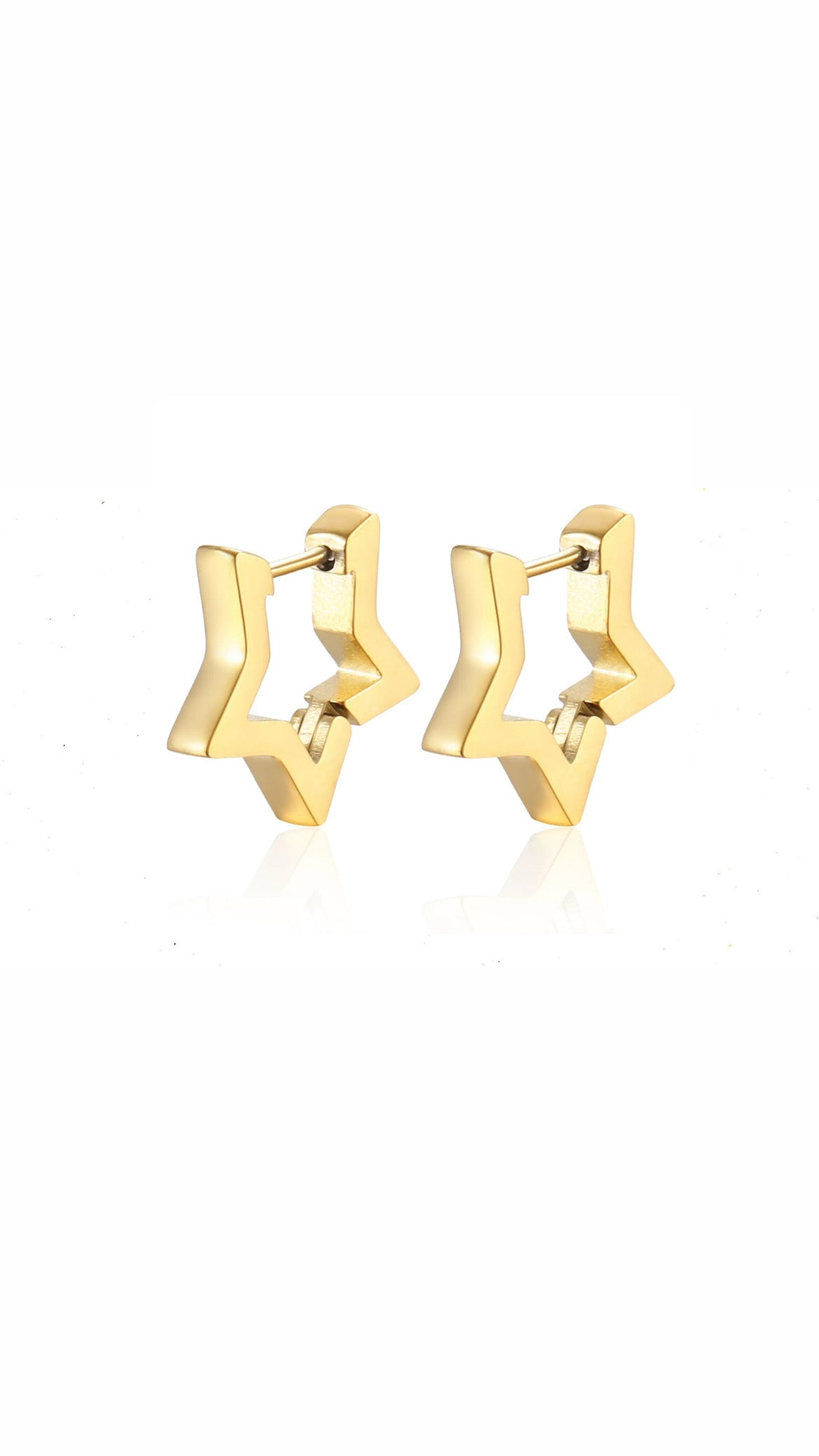 Star Winter Earring