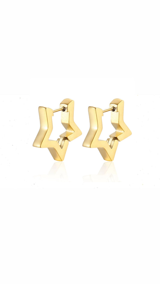Star Winter Earring
