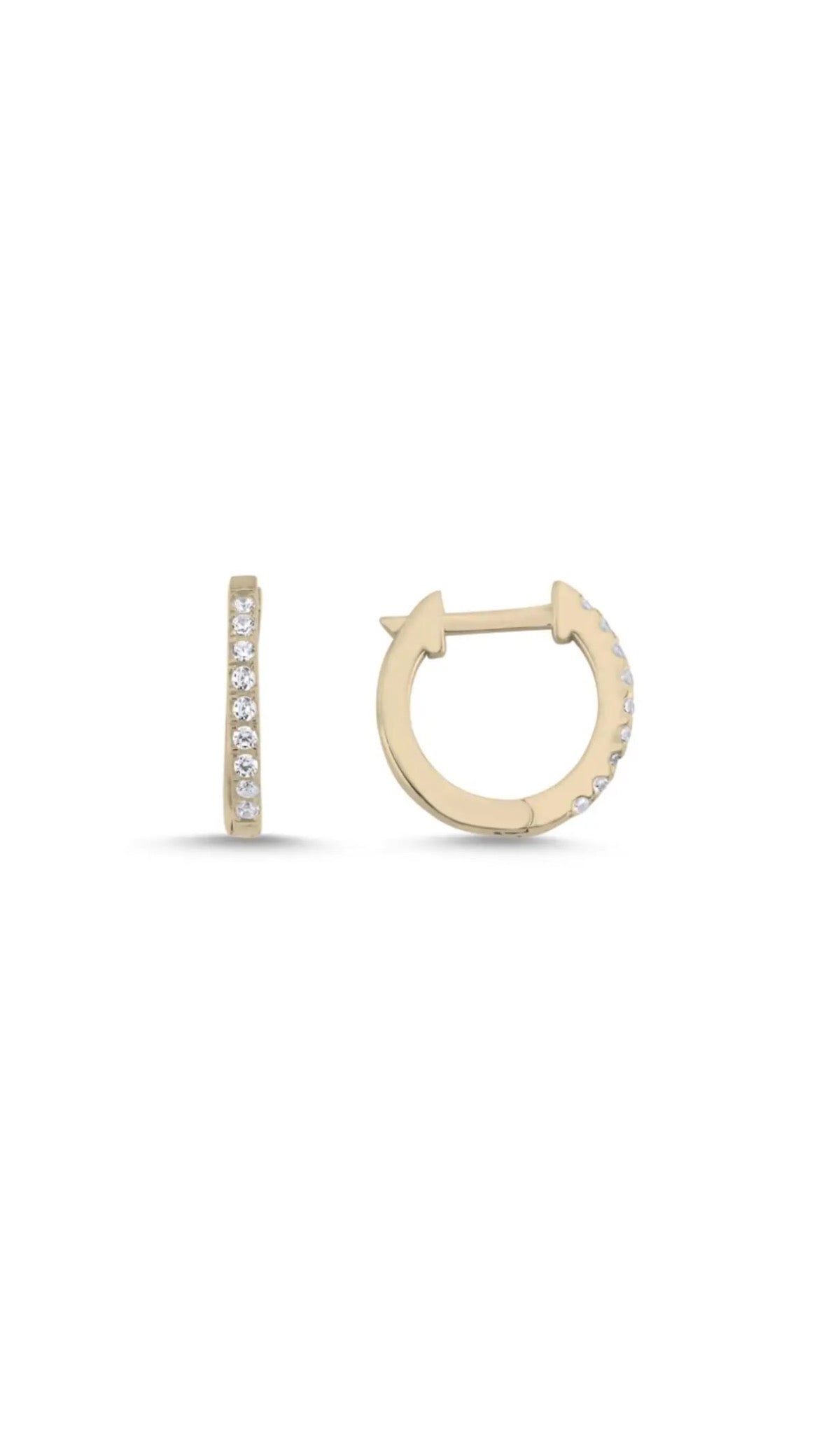 Strass Hoop Winter Earring