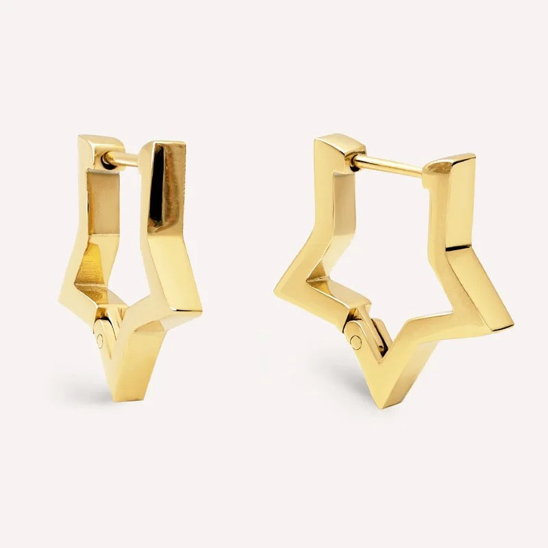 Star Winter Earring