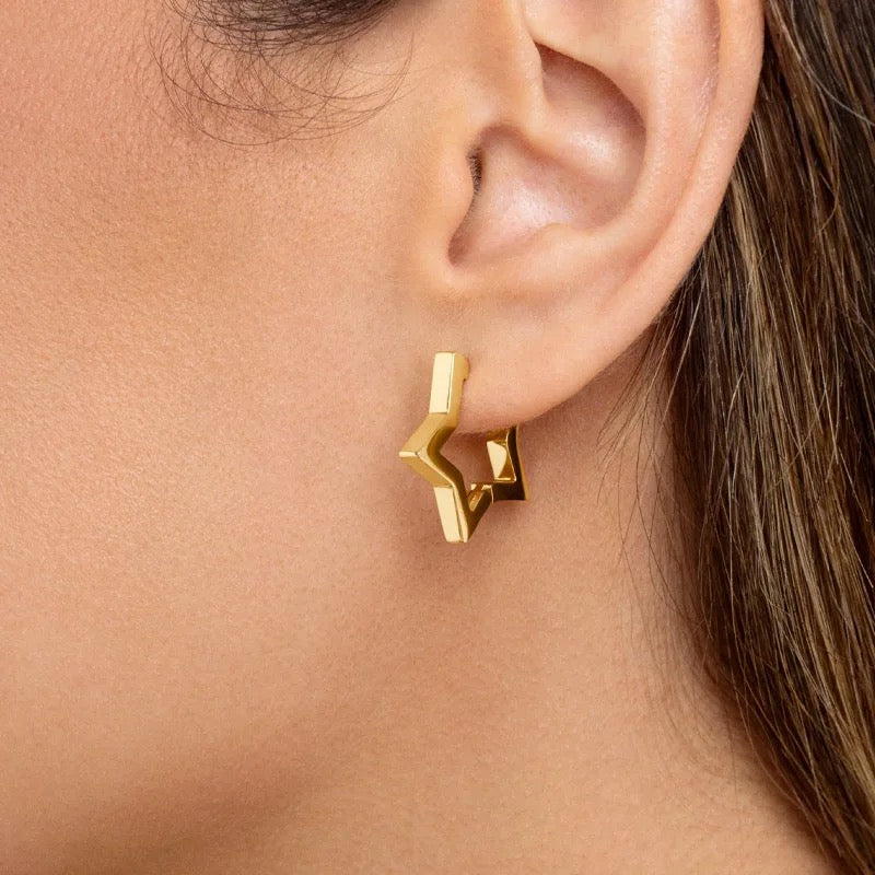Star Winter Earring
