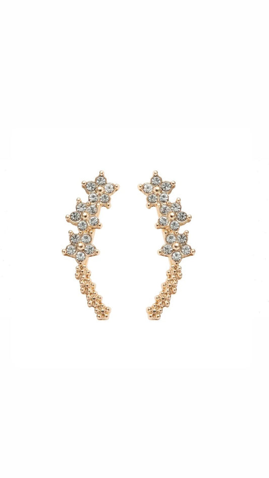 Flowers Arc Ear Piercing (PAIR)