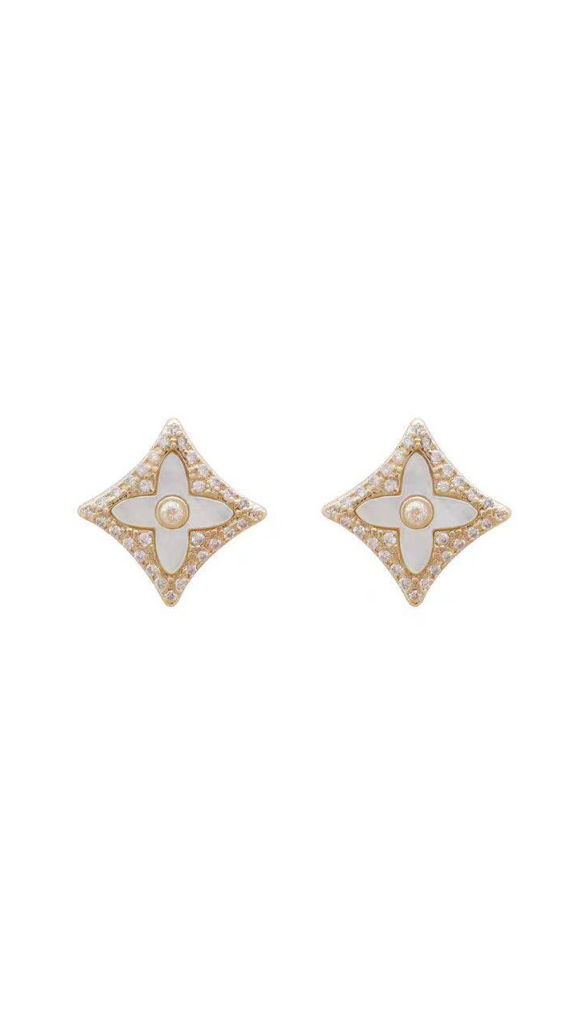 Strass Flower Winter Earring